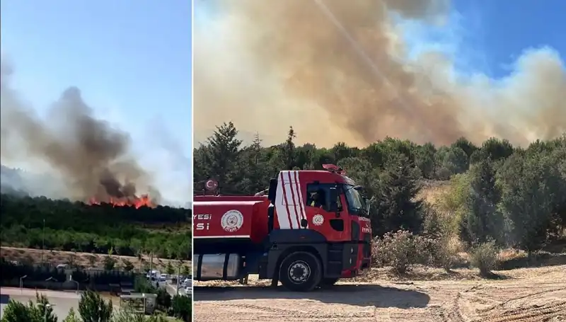 Gebze'de Büyüyen Orman Yangını Kontrol Altına Alındı: Son Durum Ne?