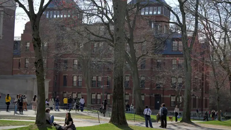 Harvard Üniversitesi, Yabancı Öğrenci Kayıt Yetkisini Kaybetme Riskiyle Karşı Karşıya