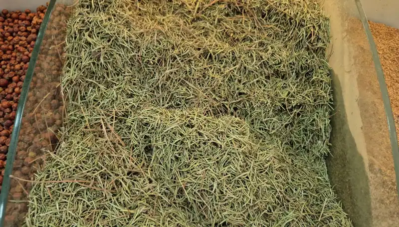 Yaz Aylarında Tüketimi Artan Tehlikeli Ürünler ve Sonuçları