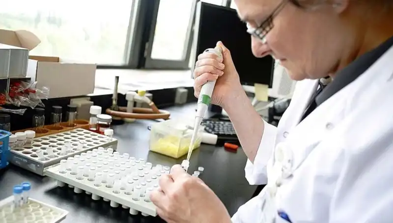Antibiyotik Direnci: Küresel Sağlık Tehlikesinin Baş Belası Olabilir