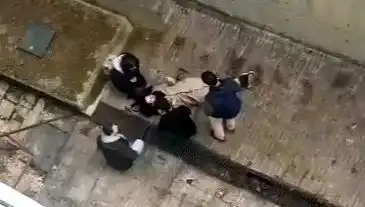 Kampüs Alanında Köpek Paniği: 4 Metre Yükseklikten Düşüş Şok Etkisi Yarattı