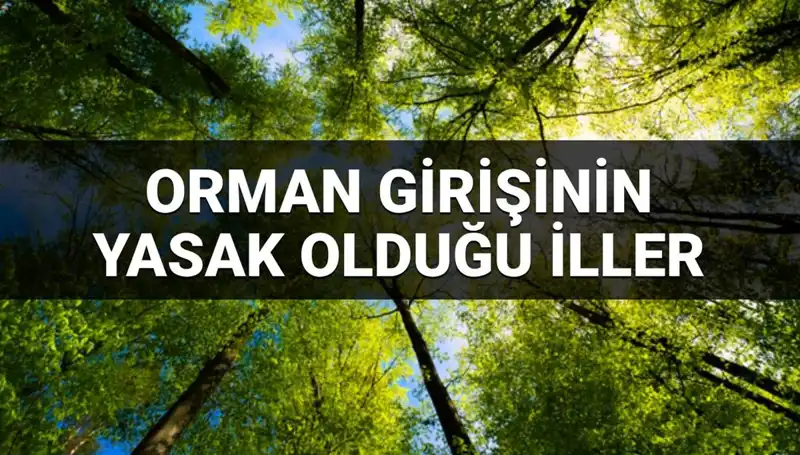 2025'te Hangi İllerde Ormana Giriş Yasaklandı? İşte Detaylar!