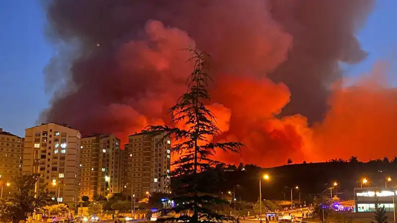 Bursa'da Yangınlar: Şehirde Korkutan Arazi Yangınları Patlak Verdi
