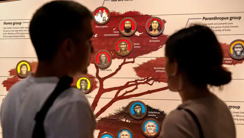 Modern İnsanların 40 Bin Yıl Önceki Hayatta Kalma Stratejileri Nelerdi?