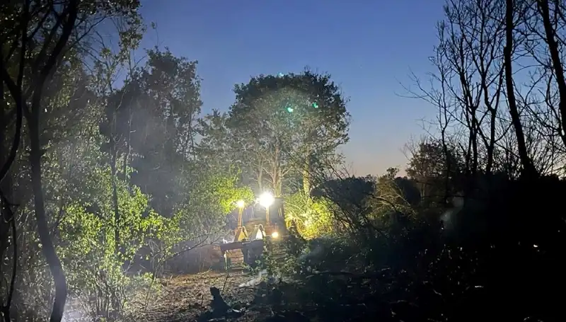 Edirne'de Çıkan Orman Yangını, Ekiplerin Zorlu Mücadelesiyle Söndürüldü