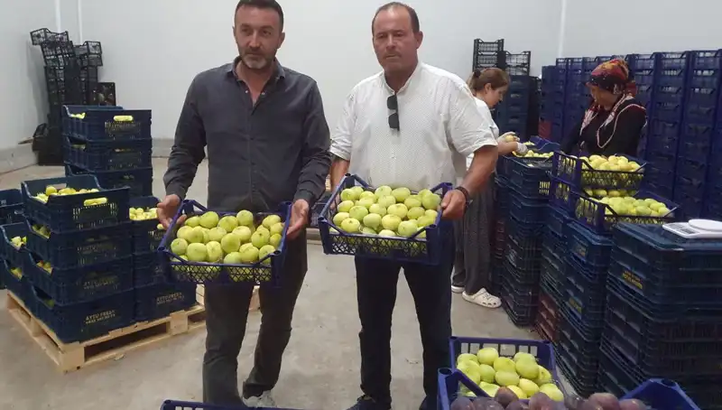 Mersin'den Dünya Pazarına: Çiftçilerin Yüzü Gülen Ürünleri