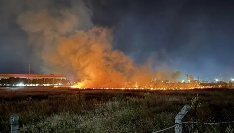 İzmir'de Gece Yarımda Çıkan Yangın Paniği: Nedenleri ve Sonuçları