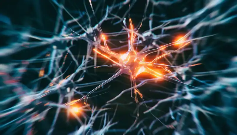 Alzheimer Vakalarında Endişe Verici Artış: Nedenleri ve Çözüm Önerileri