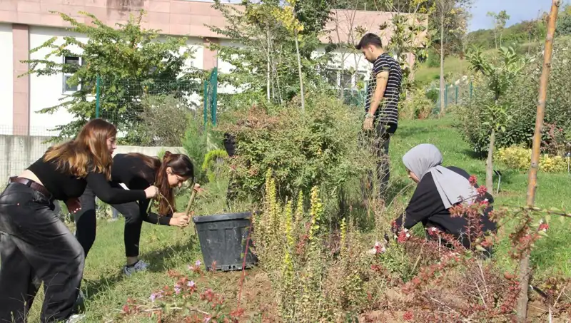 Düzce'den Dünyaya Açılan Kapı: Hayalden Gerçeğe Dönüşen Başarı Hikayesi